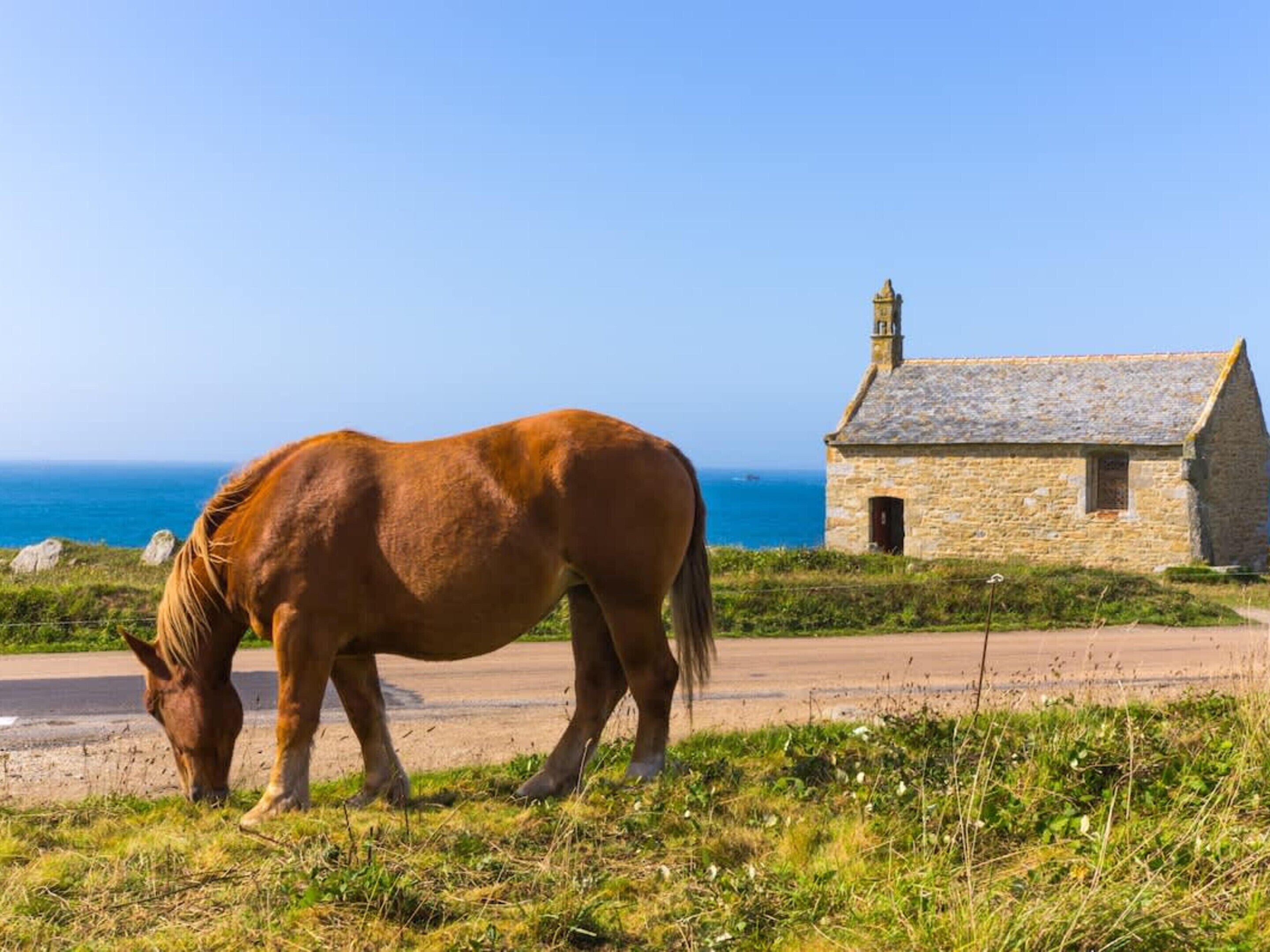 A horse grazing near a stone building with a clear view of the sea in the background.