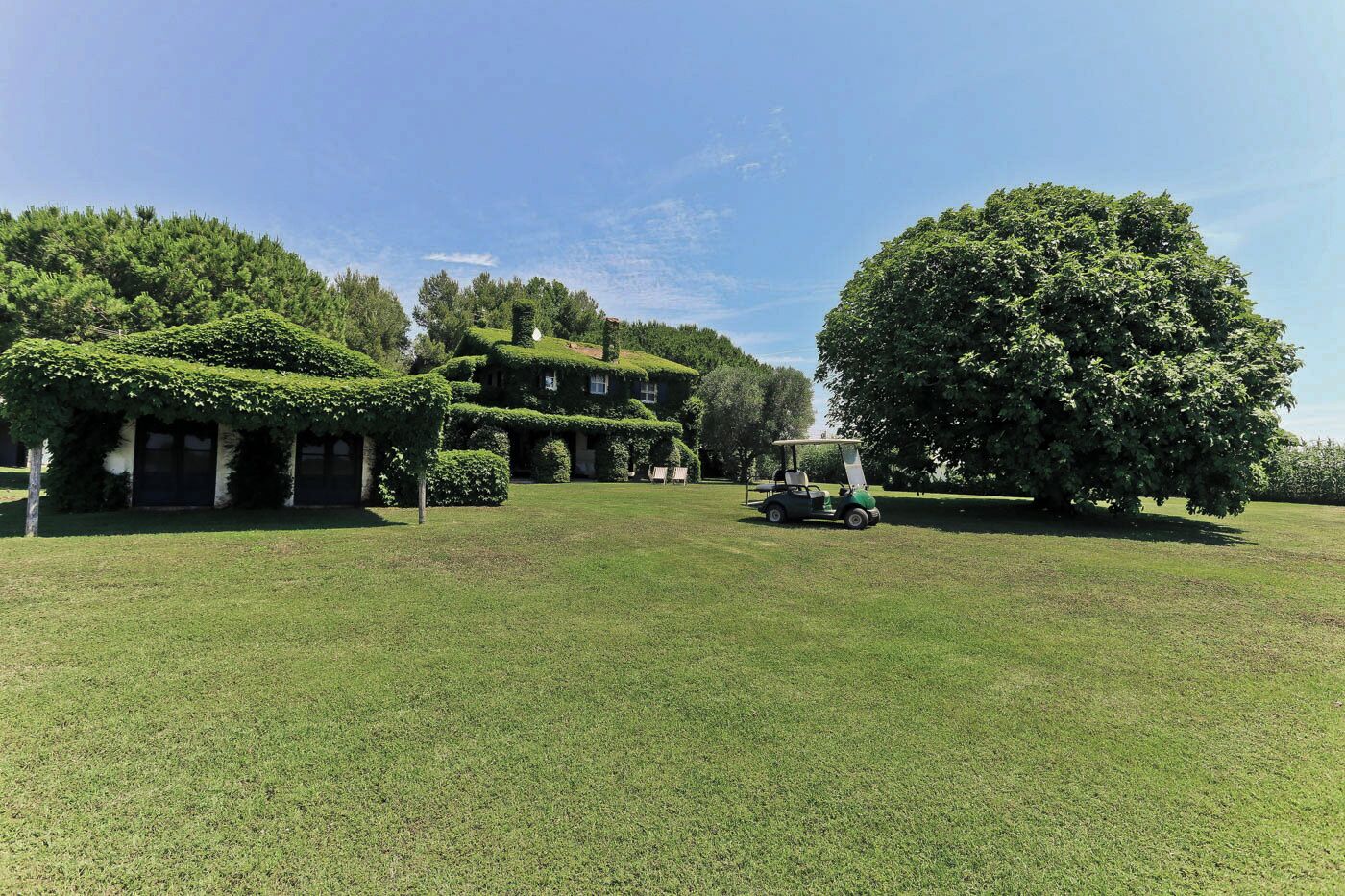 Un campo de golf con un club de campo, un árbol grande y un carrito de golf.