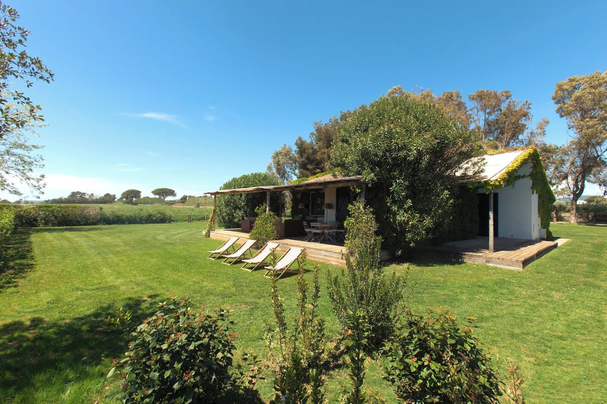 A house with a covered patio, a lawn, and a small shed.