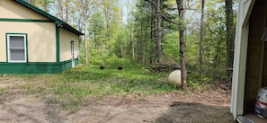 A house with a green exterior, a grassy yard, and a forested area in the background. - Studio sleeps 4 with Full RV hookup & AC (Kalkaska)