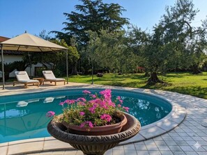 A swimming pool with a tiled deck, lounge chairs, and a pergola.