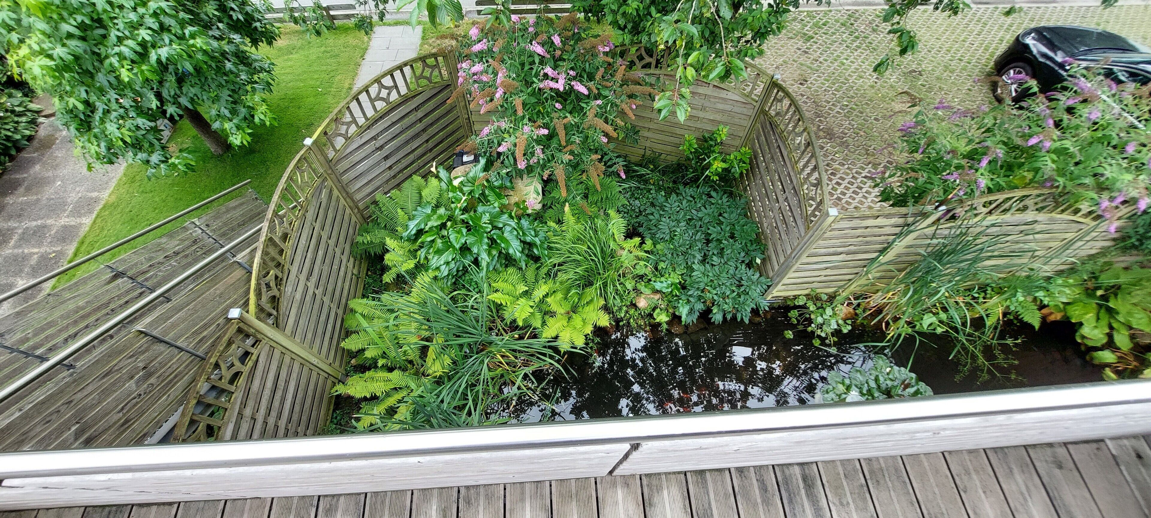 Puuinen terassi, jonka yhteydessä on puutarha-alue, johon kuuluu muun muassa lampi ja erilaisia kasveja.