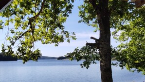 A lakeside view with a dock, a tree, and a grassy area.