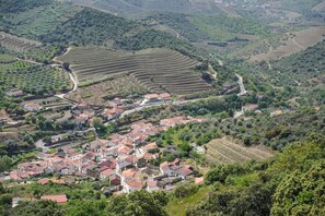 Un village perché sur une colline, avec des vignobles en terrasses et des bâtiments traditionnels.