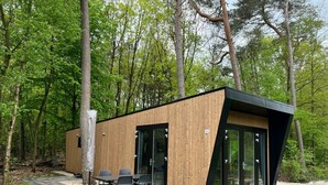 A modern wooden cabin with a glass enclosure, a dining area with chairs, and a paved patio. - Just Nature Light 4 (Arnhem)