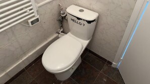 Ein Badezimmer mit einer weißen Toilette, einem Handtrockner und einer Wandheizung.