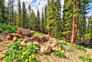 Ein Wald mit einem Holzstapel, einer Steinstruktur und gelben Blumen.