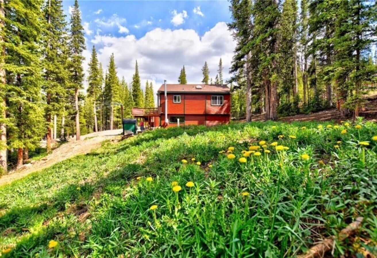 A red cabin surrounded by a forest with a grassy foreground and a clear sky.