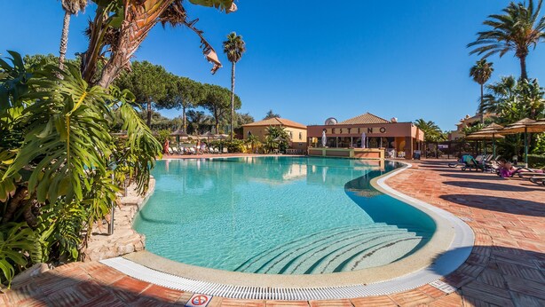 Une piscine à bords incurvés, entourée de palmiers et dotée d’une terrasse carrelée.