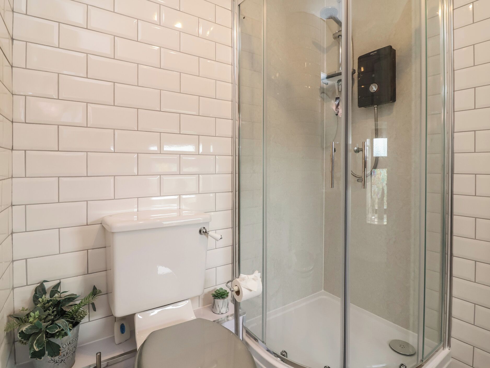 A bathroom with a toilet, a glass-enclosed shower, and a potted plant.