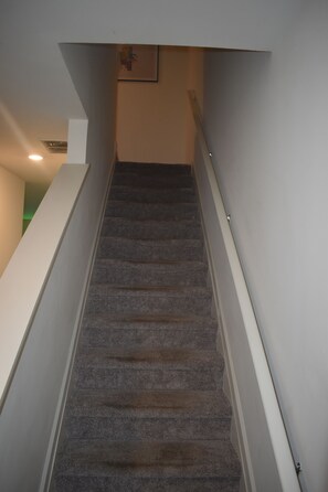 Eine Treppe mit Teppichstufen, weißen Geländern und einer schlichten Wand mit einem Bilderrahmen.