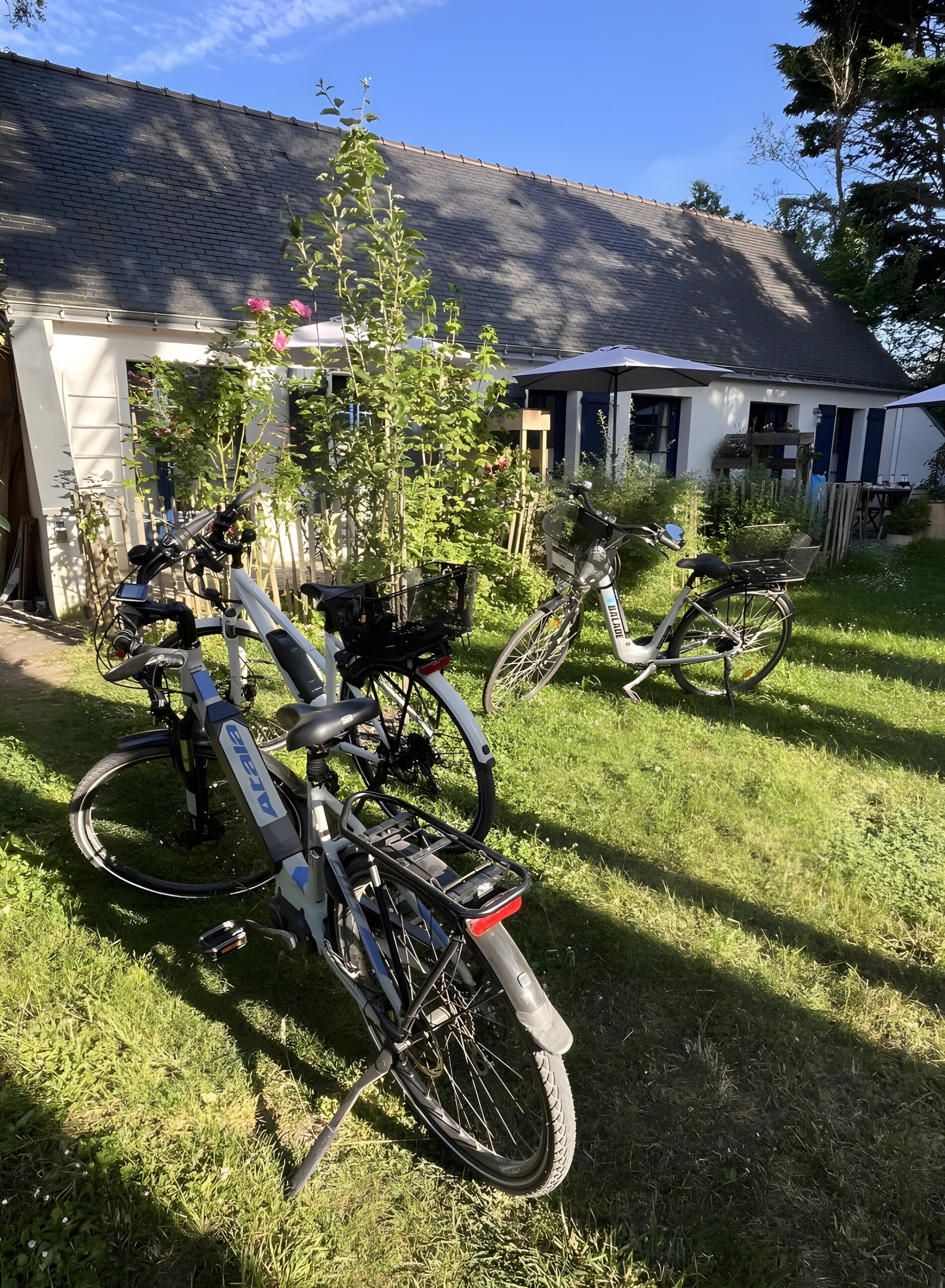 A bicycle parked on a grassy lawn with a house in the background.