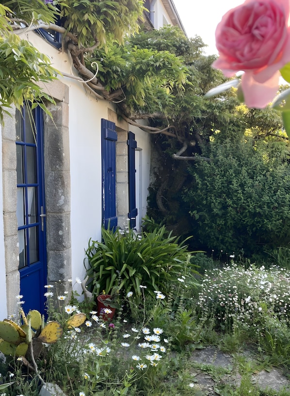 Un jardín con un edificio blanco, contraventanas azules y diversas plantas.