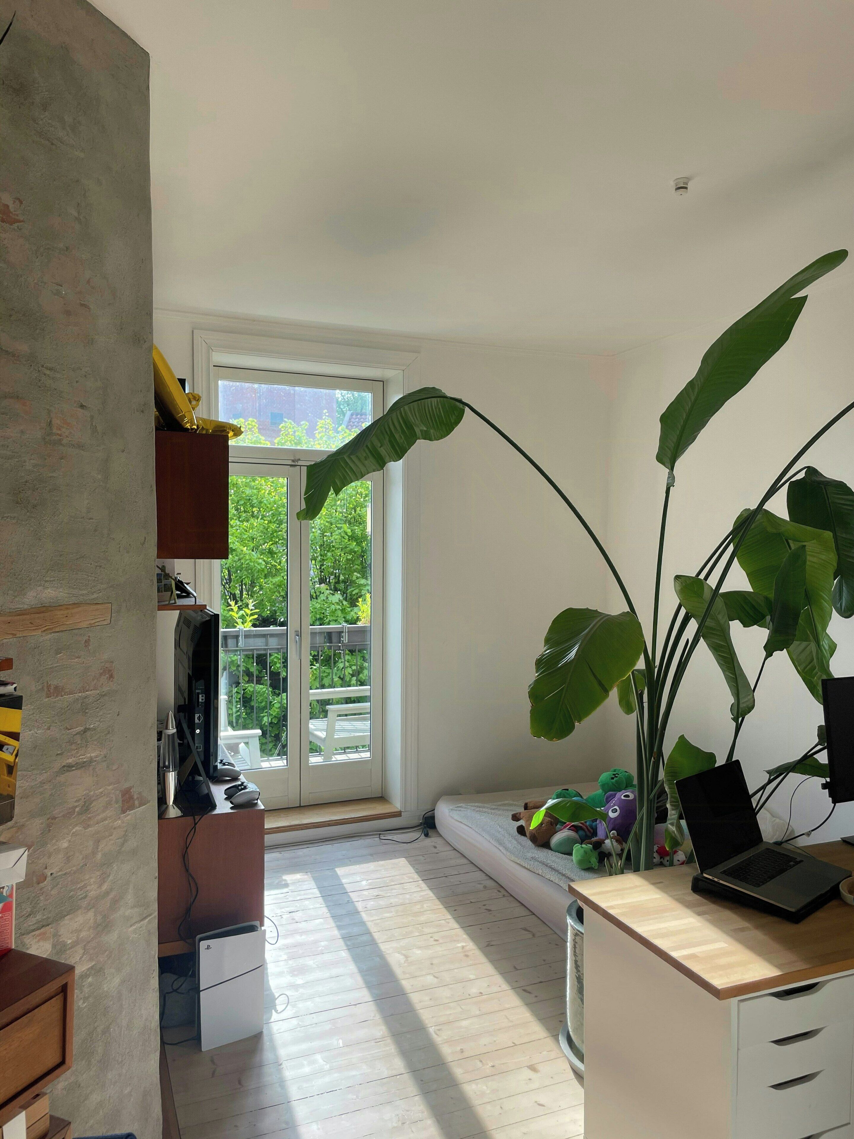 Desk, WiFi (free)