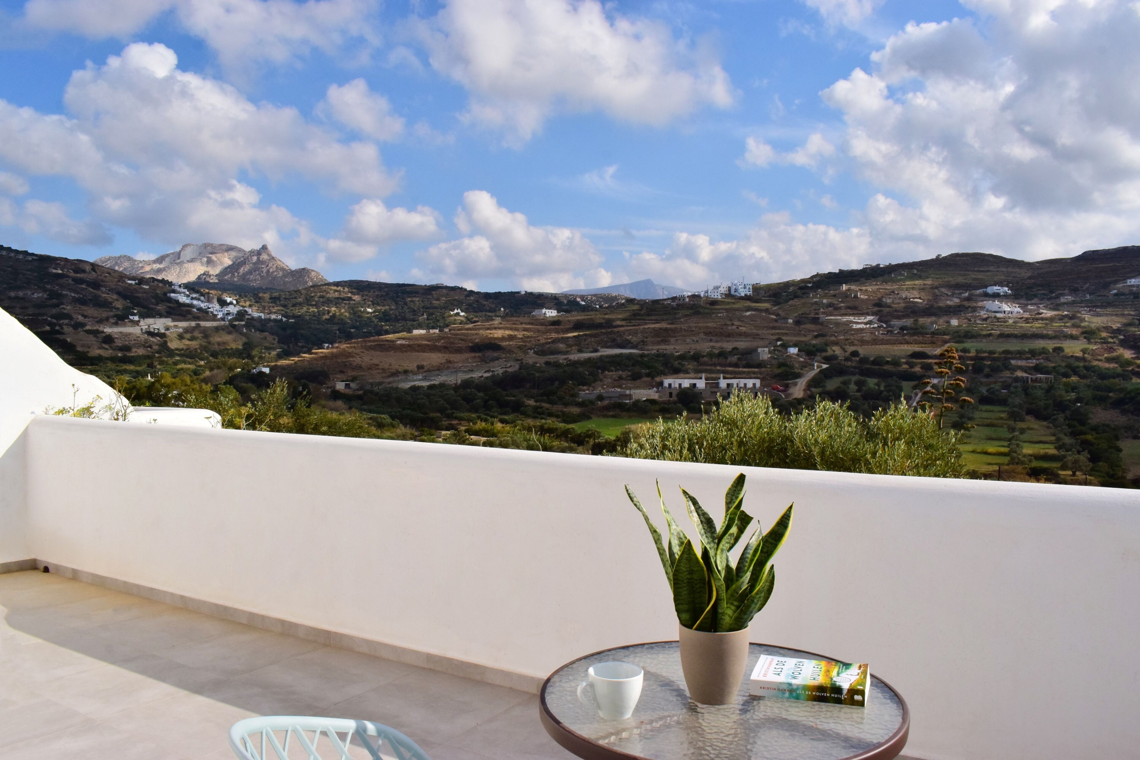 A balcony with a potted plant, a glass table, and a white cup.