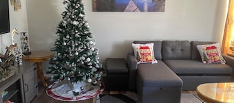 Spacious 3-bedroom house in peaceful Milwaukee with AC and gym