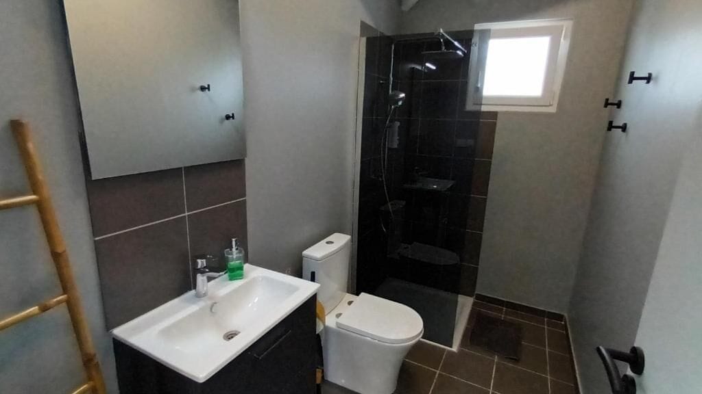 Une salle de bain avec un lavabo, des toilettes et une douche.