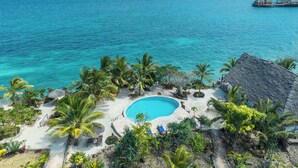 Un resort con piscina rodeada de palmeras y vistas al océano.