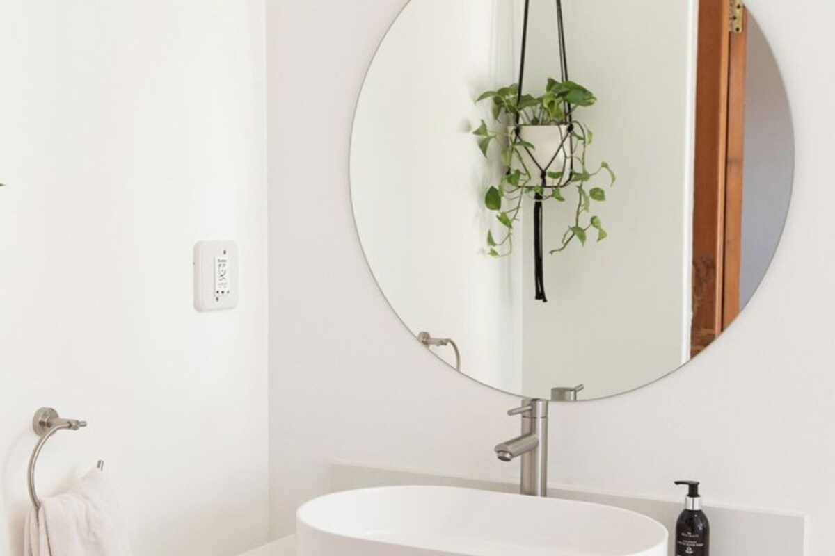 A bathroom with a round mirror, white sink, and a plant hanging above it.