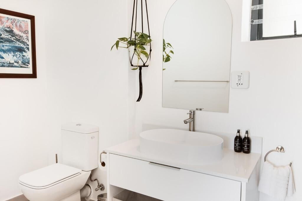 A modern bathroom with a toilet, sink, mirror, and a hanging plant.
