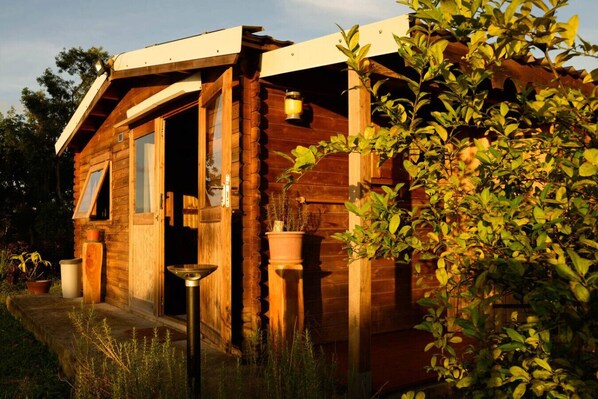 A wooden cabin with a porch, a door, and a window.