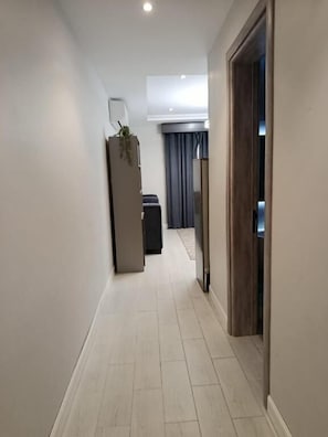 A hallway with a wooden door, a plant, and a dark-colored piece of furniture.