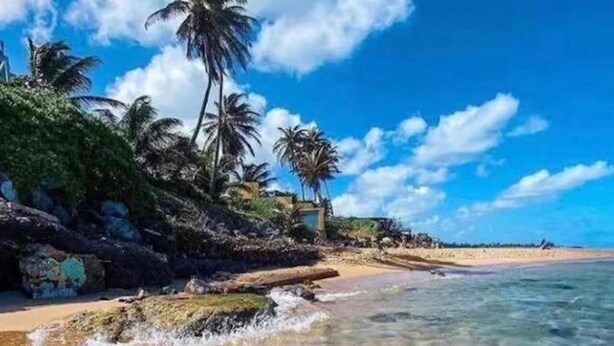 Uma praia com águas cristalinas, palmeiras e um litoral rochoso.