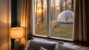 Quarto com uma grande janela, uma luminária e vista para uma floresta com uma estrutura esférica.