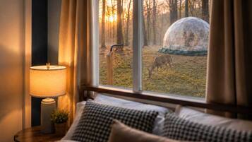 4 habitaciones, tabla de planchar con plancha, wifi y ropa de cama