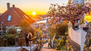 Une rue résidentielle bordée de maisons, avec une clôture en bois et une vue dégagée sur le coucher de soleil.