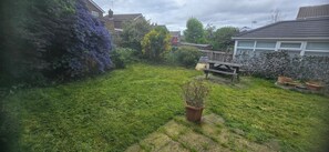 Un jardin avec une pelouse verdoyante, un banc en bois et une plante en pot.