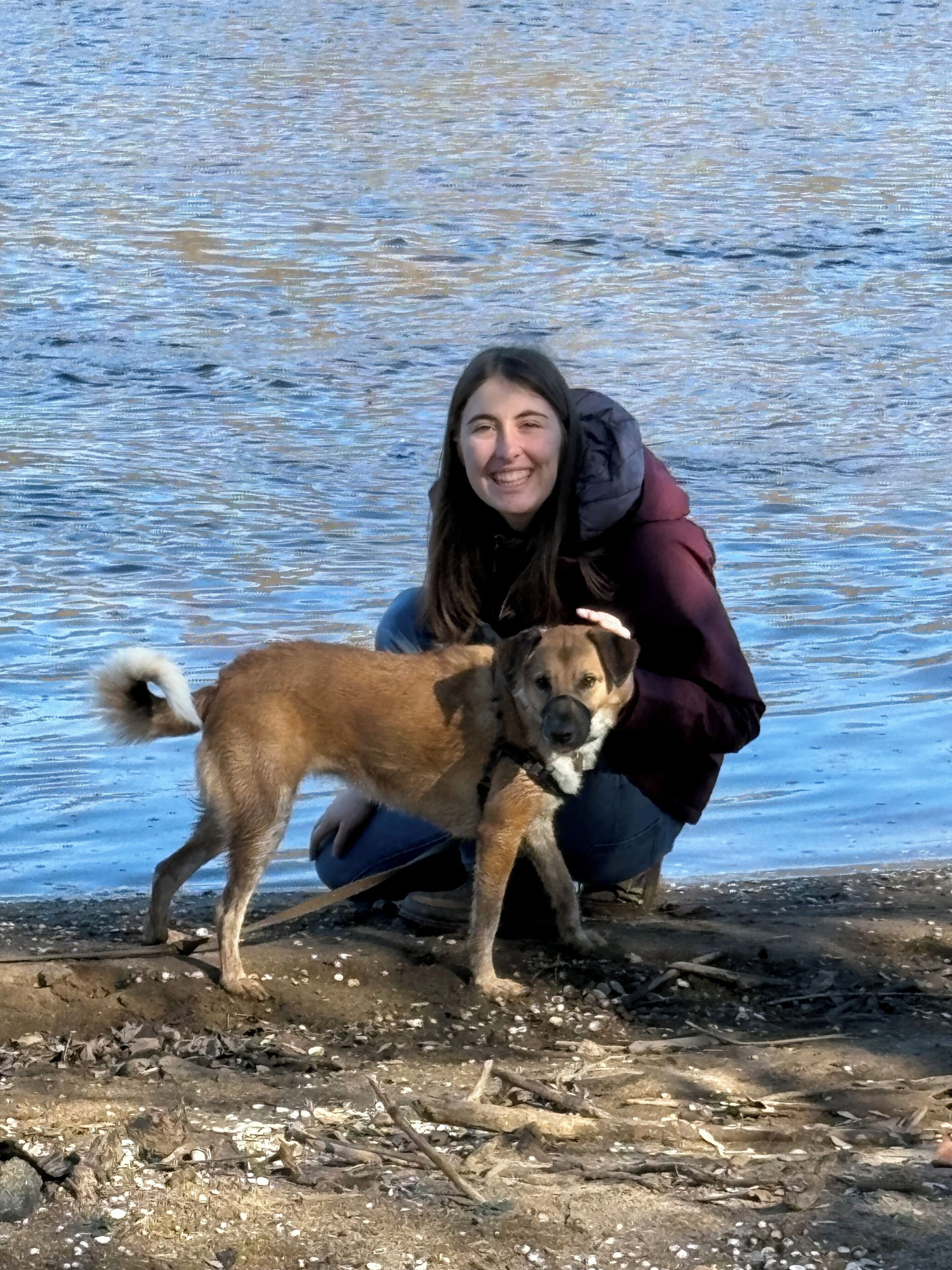 Eine Person kniet am Wasserufer mit einem Hund.