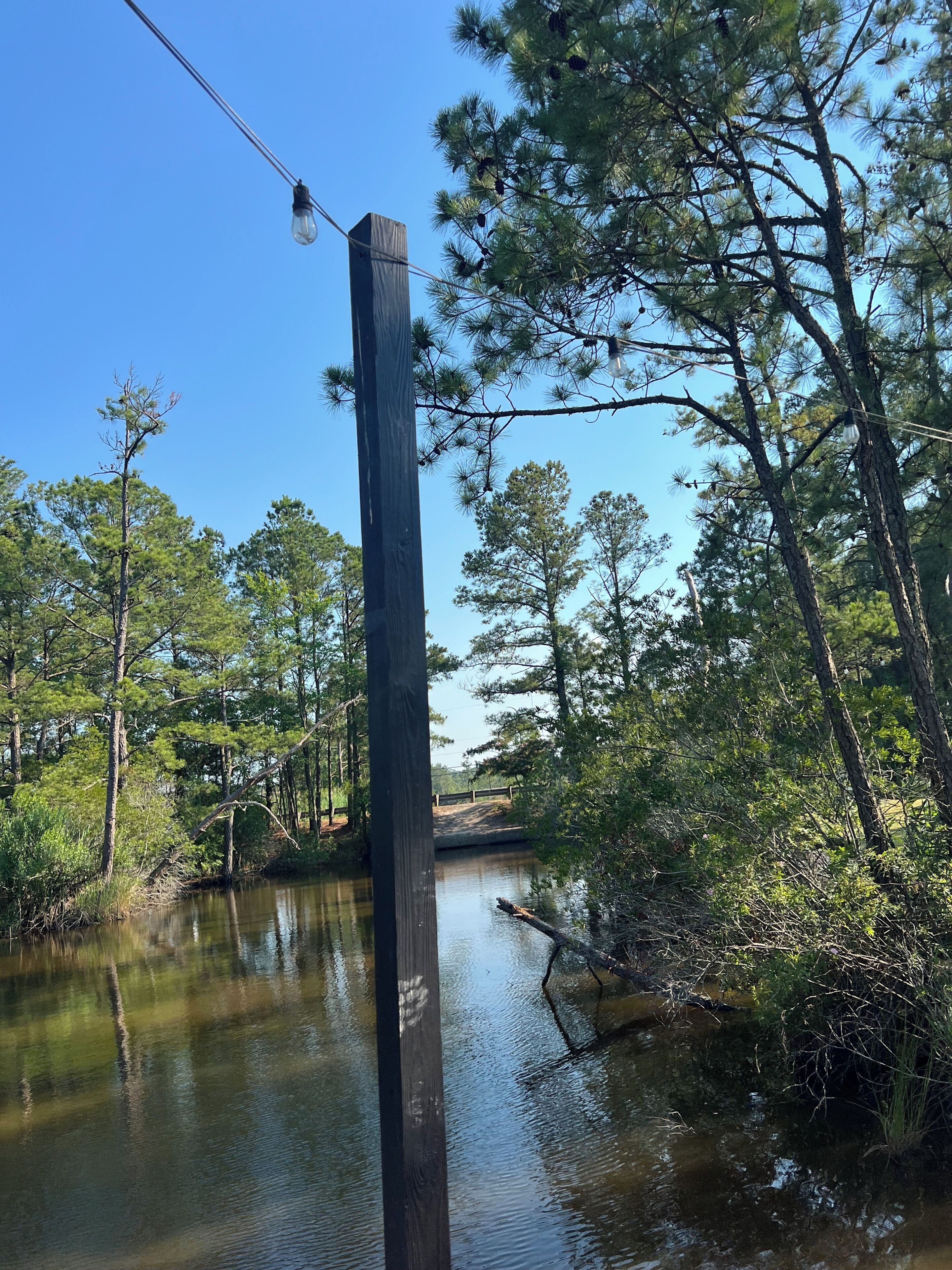 A wooden utility pole in a forested area with a water body.