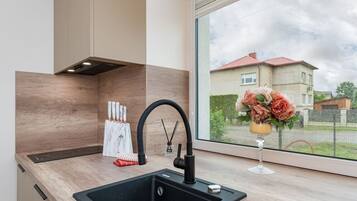 Une cuisine moderne avec un évier noir, une fenêtre donnant sur une maison et un vase rempli de fleurs.