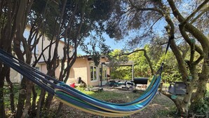 Uklassifisert bilde, 4 av 14, knapp