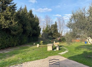 Een tuin met een geplaveid pad, stenen banken en diverse bomen.