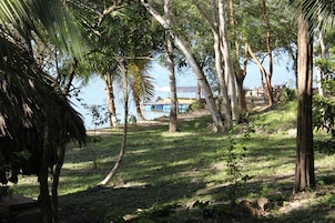 Un entorno natural con árboles, una zona verde y vistas a un cuerpo de agua.
