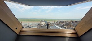 A skylight view of a residential area with houses and a distant landscape.