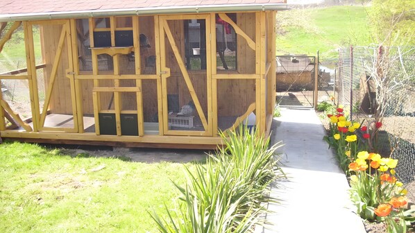 Eine Holzkonstruktion mit Maschenfenstern, einem Betonweg und einem Blumenbeet mit Tulpen.