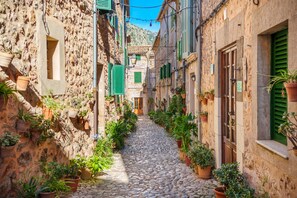 A narrow cobblestone alley lined with terracotta buildings, potted plants, and green shutters. - Holiday Home 'Rectoria 8' with Mountain View, Wi-Fi and Air Conditioning (Valldemossa)