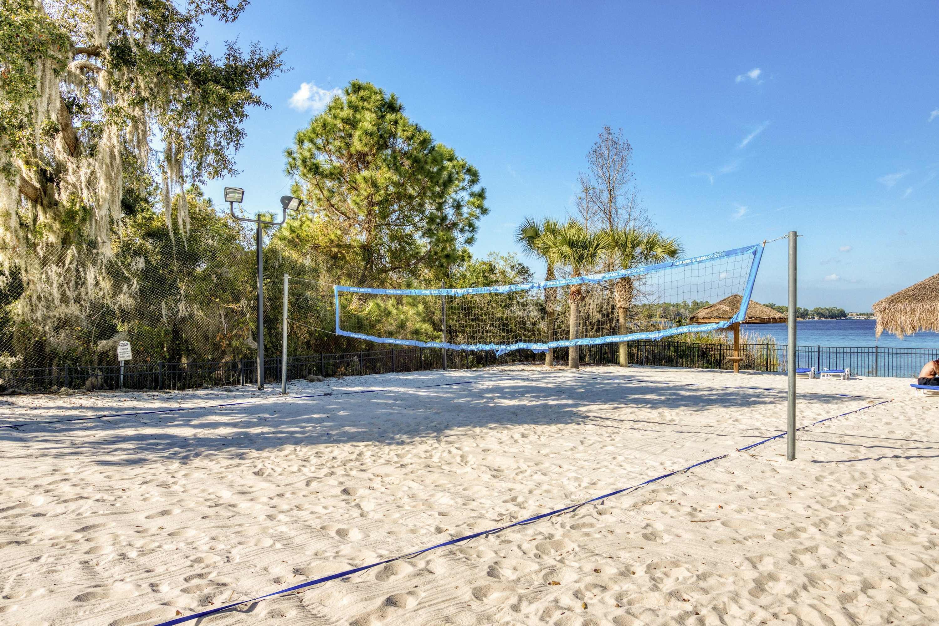 Camp de voleibol platja amb xarxa, envoltat d'arbres i vista a l'oceà.