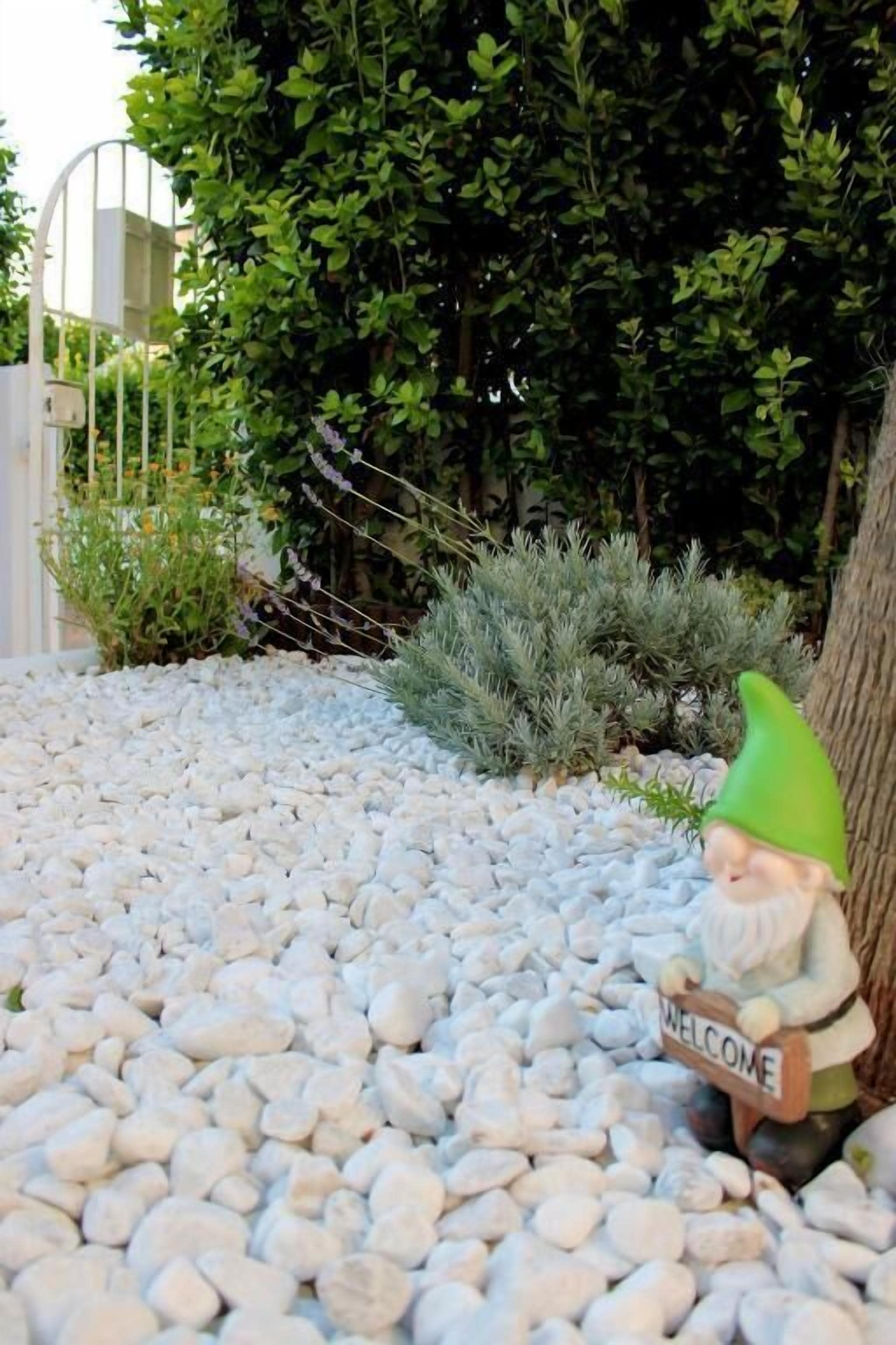 A garden with a gnome statue, white pebbles, and green foliage.
