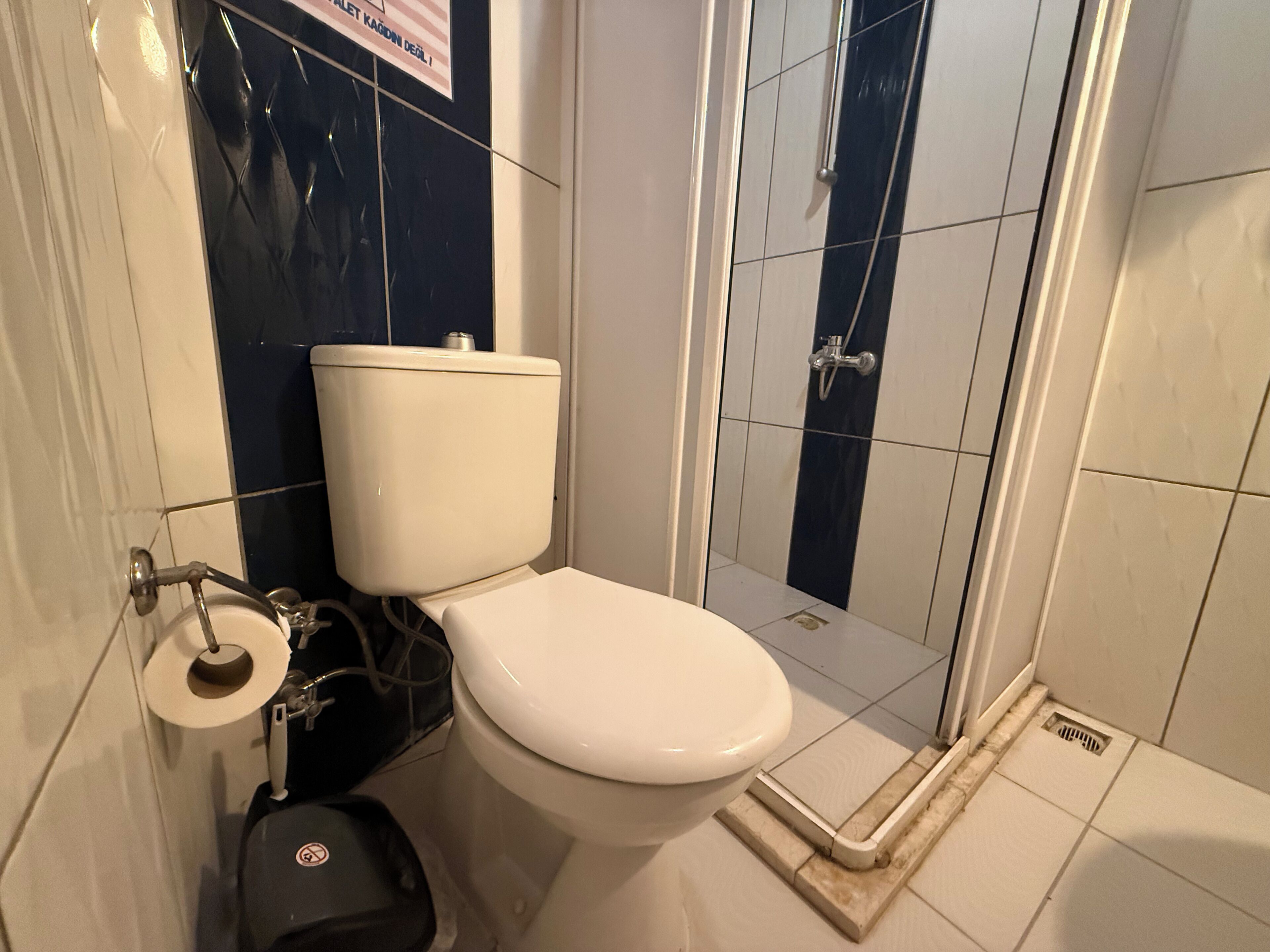 A bathroom with a toilet, a bidet, and a shower area.