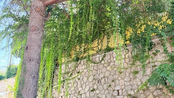 A stone wall with a tree and yellow chairs in front.