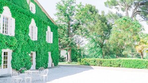 A building with white walls partially covered in green ivy, a gravel courtyard, and a hedge. - A peaceful family retreat surrounded by nature - 6-bedroom apartment (Mazerolles-du-Razès)