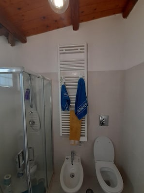 A bathroom with a glass shower enclosure, a toilet, and a bidet.