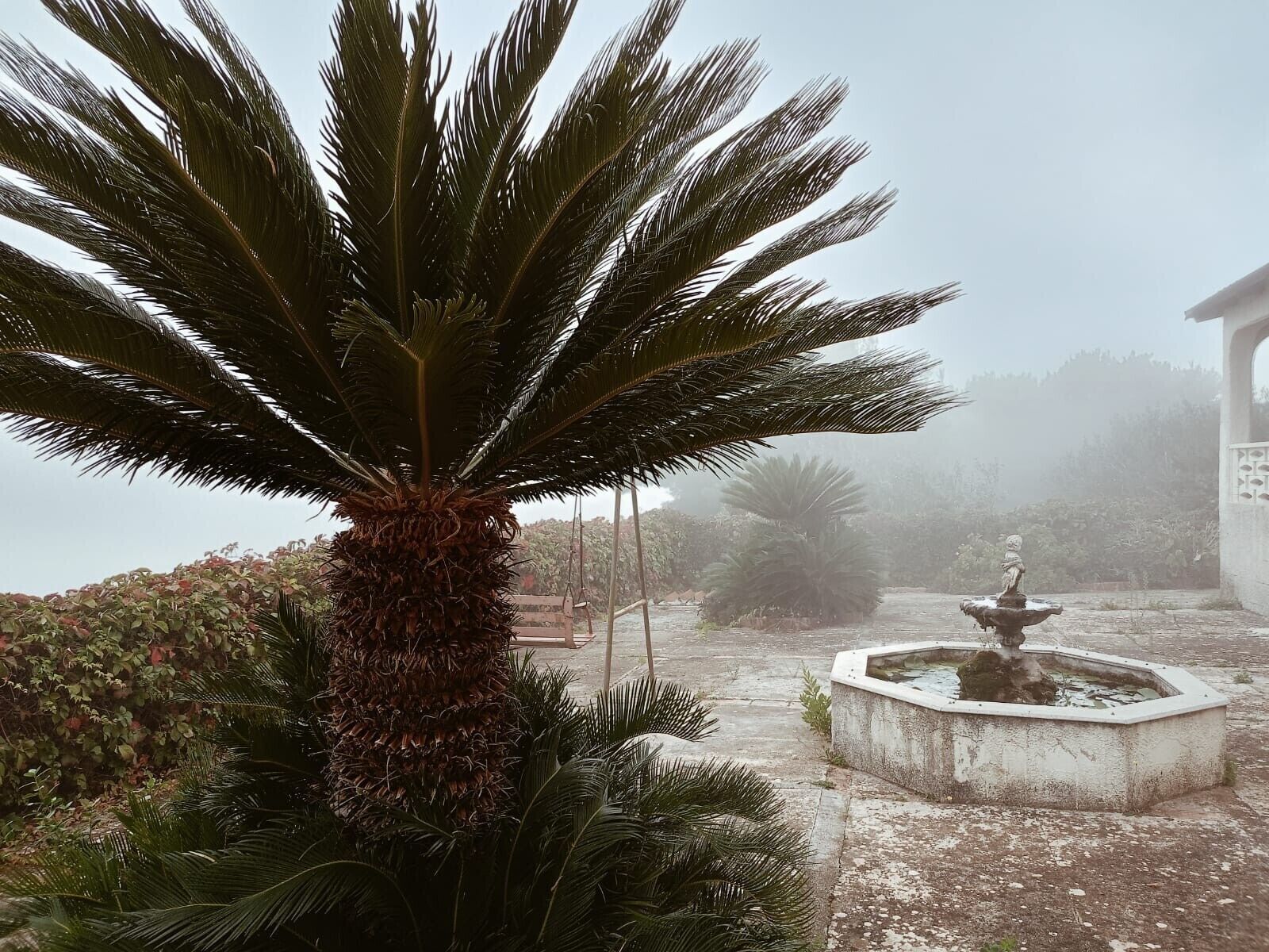 Parco della struttura