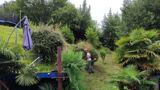 Piscina rodeada por vegetação exuberante e uma pessoa trabalhando em um declive.
