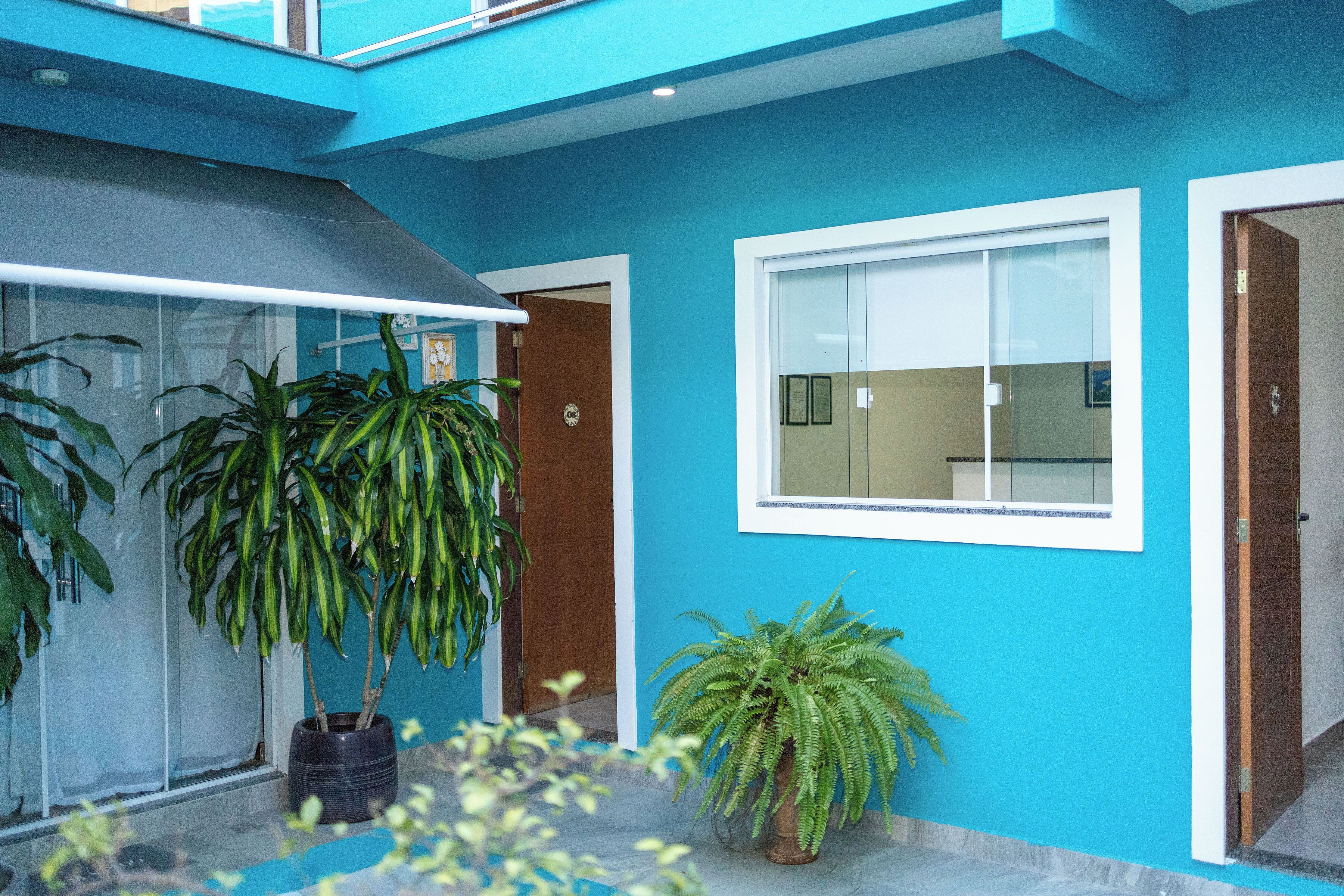 A blue exterior with a potted plant, a window, and a door.