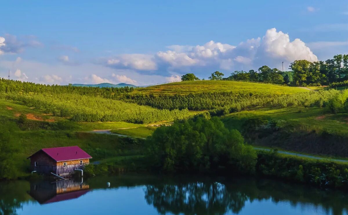 A serene landscape with a house on stilts over water, surrounded by lush greenery and a clear sky.